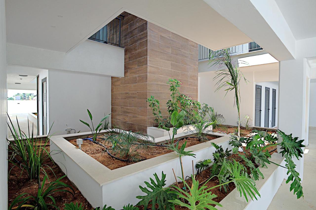 Golden Tree Apartment باراليمني المظهر الخارجي الصورة